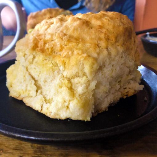 Giant Biscuit